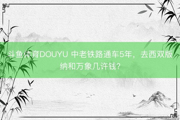 斗鱼体育DOUYU 中老铁路通车5年,去西双版纳和万象几许钱?