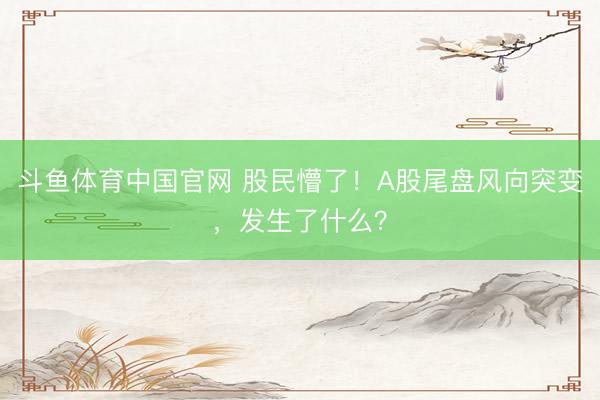 斗鱼体育中国官网 股民懵了！A股尾盘风向突变，发生了什么？