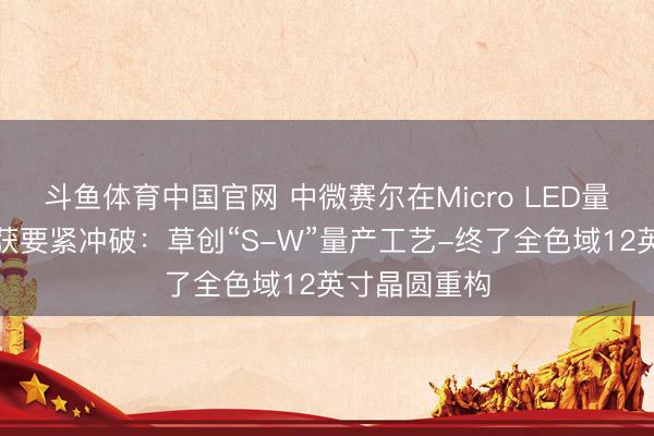斗鱼体育中国官网 中微赛尔在Micro LED量产枢纽工艺获要紧冲破：草创“S-W”量产工艺-终了全色域12英寸晶圆重构