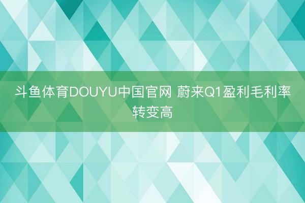 斗鱼体育DOUYU中国官网 蔚来Q1盈利毛利率转变高