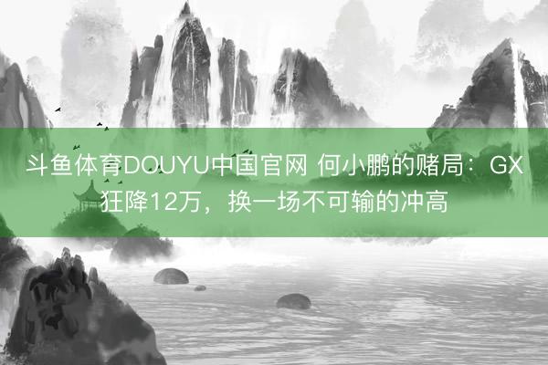 斗鱼体育DOUYU中国官网 何小鹏的赌局：GX狂降12万，换一场不可输的冲高
