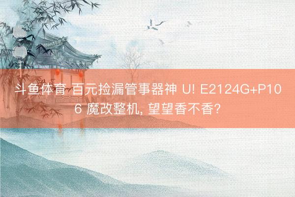 斗鱼体育 百元捡漏管事器神 U! E2124G+P106 魔改整机， 望望香不香?