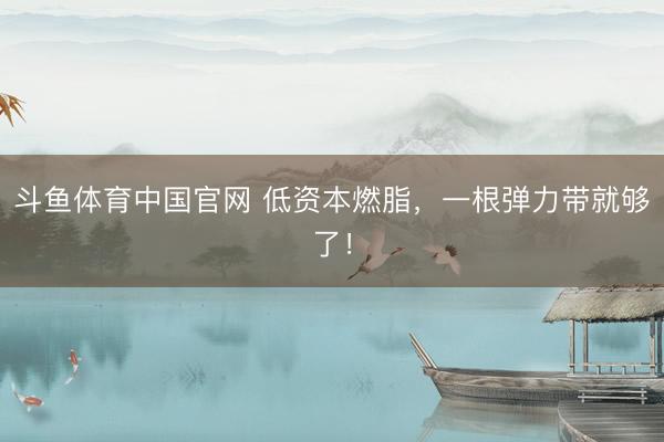 斗鱼体育中国官网 低资本燃脂,一根弹力带就够了!