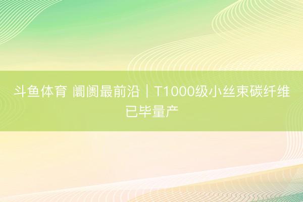 斗鱼体育 阛阓最前沿｜T1000级小丝束碳纤维已毕量产
